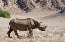 6 Days Sossusvlei, Swakopmund and Etosha National Park Lodging