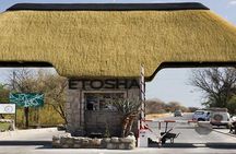 7 Days-Desert adventure, Swakopmund & Etosha Lodging Tour