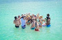 Private Catamaran Booze Cruise & Snorkeling