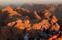 Mount Sinai Tour