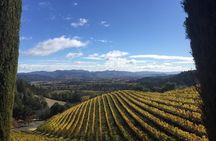 8-Hour, Private Limo Wine Tour to Napa from San Francisco