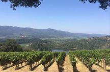 8-Hours Private Limo(up to 8 pass.) Wine Tour of Napa Valley from San Francisco