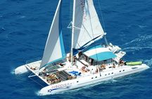 Saona Island Full-Day Cruise, Natural Pool and Lunch
