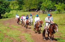 Safari: Cultural Tour from Punta Cana: