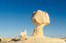 Fantastic Overnight White Desert and Baharya oasis