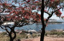 Private Full-Day Tour: Rio de Janeiro's Main Landmarks