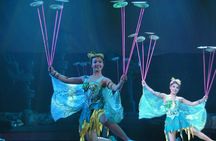 Acrobatics Show plus Ding Tai Fung Dinner Experience in Beijing