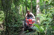 ATV Tour with Monkey Forest Experience in Bali