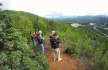 Denali Hiking Tour