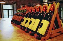 A day tour to Kakheti region/wine/culture/history and gastro tour