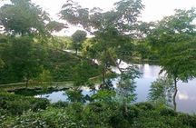 5-Day Sightseeing Tour in Srimangal and Sylhet