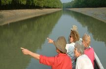 6-Days Sundarban AdventureTour from Dhaka (September to March)