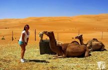 Wahiba Sands And Wadi Bani Khalid