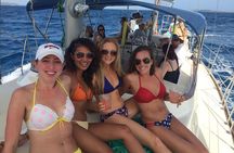 Half Day Sail and Snorkel with the Turtles