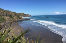 Muriwai Scenic Wine Tour from Auckland