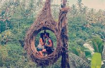 Combination ATV QUAD Bike Ride & Jungle Swing with Complimentary Lunch