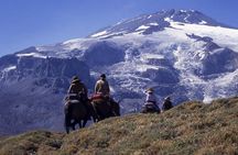 6-Day Andes Crossing from Mendoza to Chile by Horse