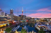 Auckland Highlight Fullday City Tour