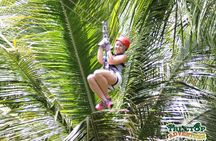 Treetop Canopy Adventure