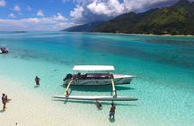 Moorea 6-Hour Snorkeling and Lunch Shared Tour