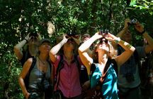 Birdwatching at Mundo Aventura Natural Park