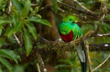 Cloud Forest Hike at Juan Castro Blanco National Park