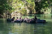 Falmouth Shore Excursion: Dunns River Falls and River Tubing Tour