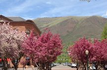 Highlights of Aspen Tour