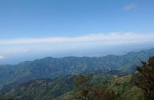 Jamaica Blue Mountain Guided Nature Tour