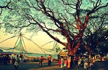 Kochi Shore Excursion: Cochin Harbor Cruise with Glimpse of Cochin Private Tour