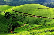 Private Day Trip to Munnar from Kochi (Cochin)