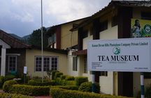 Private Day Trip to Munnar from Kochi (Cochin)