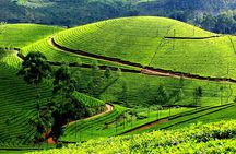 Private 7-Day Kerala Tour with Houseboat Cruise from Mumbai with 2-Way Flights