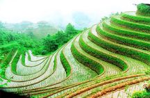 1-Day Longsheng Rice Terrace Tour from Guilin with Private Guide & Driver