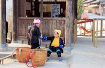 1-Day Longsheng Rice Terrace Tour from Guilin with Private Guide & Driver
