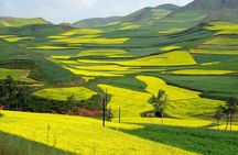 1-Day Longsheng Rice Terrace Tour from Guilin with Private Guide & Driver