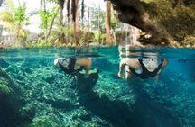Underwater Maya Snorkeling Tour