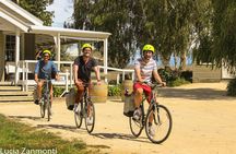 Self Guided Martinborough Wineries Bike Tour