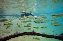 Skip the Line:Recanto Ecologico Rio da Prata Ticket including Trail & Snorkeling