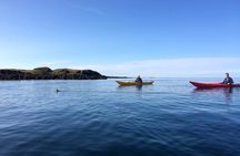 Stykkisholmur Sea kayak Day tour