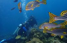 USS Liberty Shipwreck Scuba Diving at Tulamben Bali