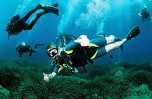 Scuba Diving Baptism and Snorkeling in Ibiza