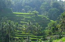 Best of Bali Private Shore Excursions