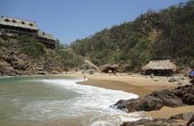Rediscover Nature Adult Beach Experience