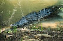 Puerto Angel Exotic Animal Wildlife Experience