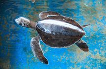 Puerto Angel Exotic Animal Wildlife Experience