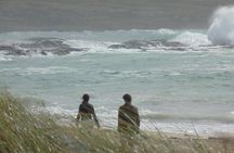 Private Tour: Ring of Kerry from Kerry. Dingle, Tralee etc.