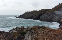 Full-day Private Mizen Head tour from Killarney