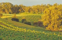 Swan Valley Private Tour