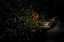 Kuala Selangor Fireflies - Batu Caves Temple- Malawati Hill DayTour With Dinner 